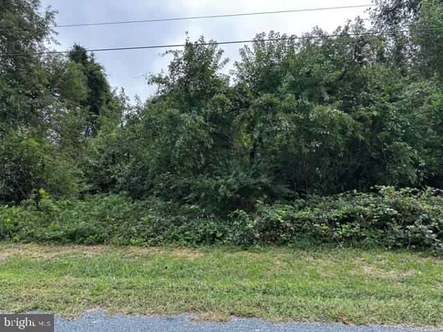 0 Nutter Road Nanticoke, MD 21840 - Photo 3 of 5