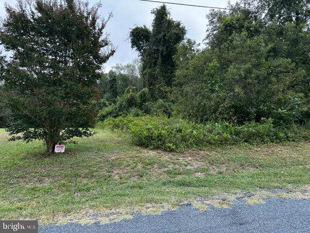 0 Nutter Road Nanticoke, MD 21840 - Photo 4 of 5