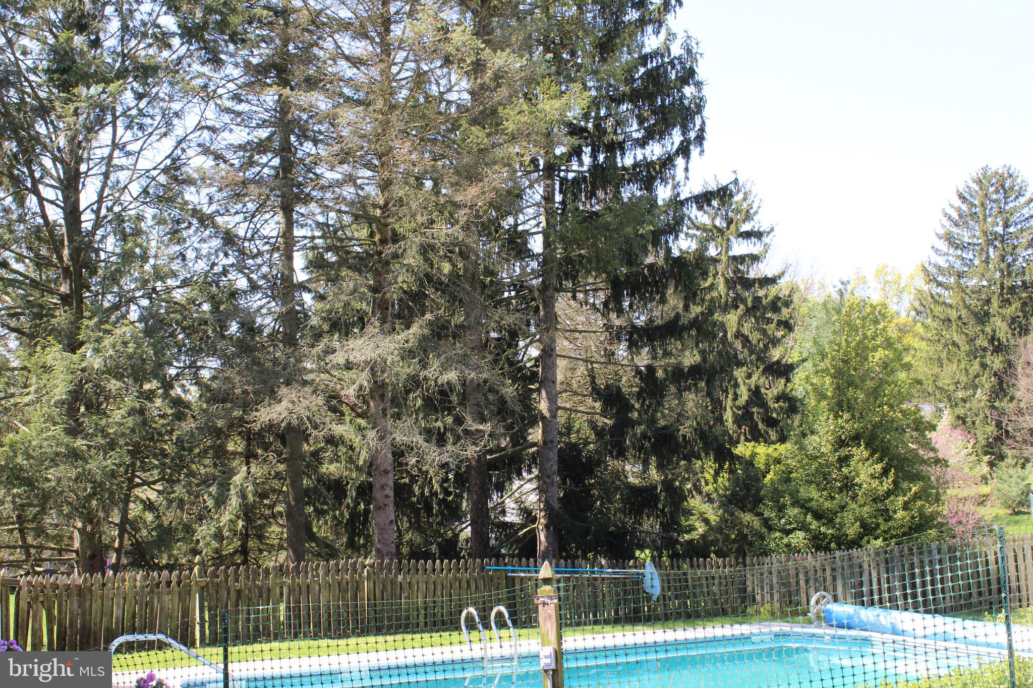 210 Hilltop Road Boiling Springs, PA 17007 - Photo 47 of 52 Gallery Image 47