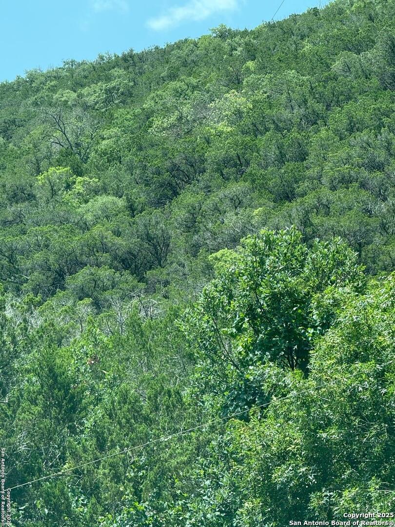 159 Valley Vista Road Tarpley, TX 78883 - Photo 11 of 20