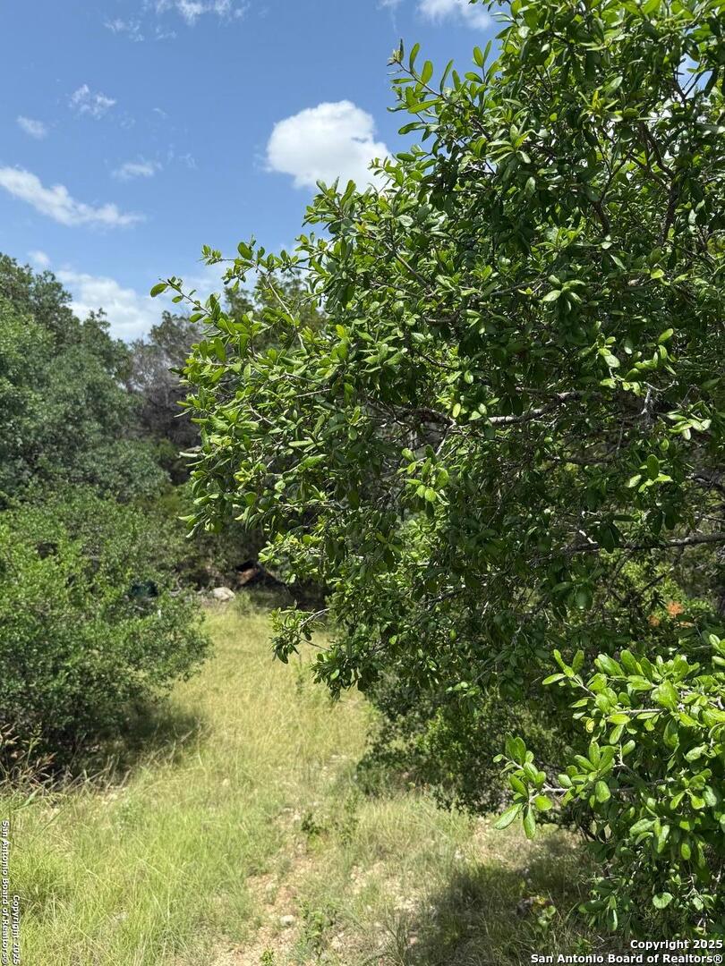 159 Valley Vista Road Tarpley, TX 78883 - Photo 17 of 20