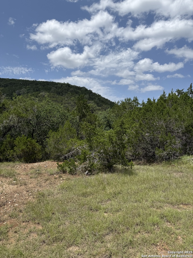 159 Valley Vista Road Tarpley, TX 78883 - Photo 10 of 20