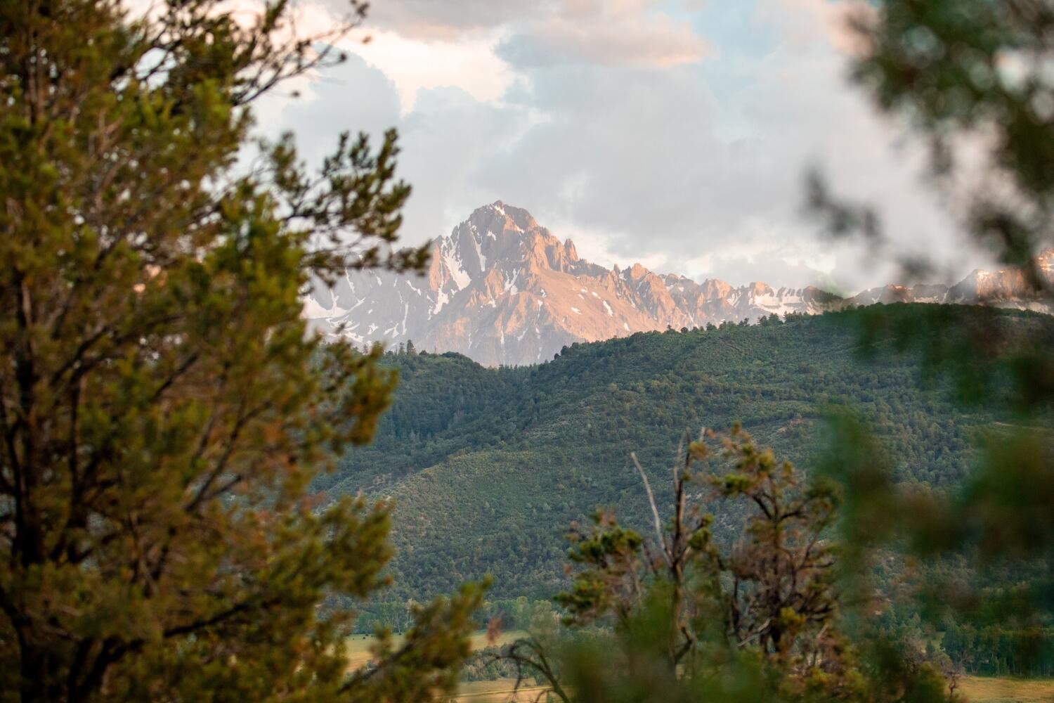 3073 County Road 24 Ridgway, CO 81432 - Photo 15 of 17 a view of a lake in a forest