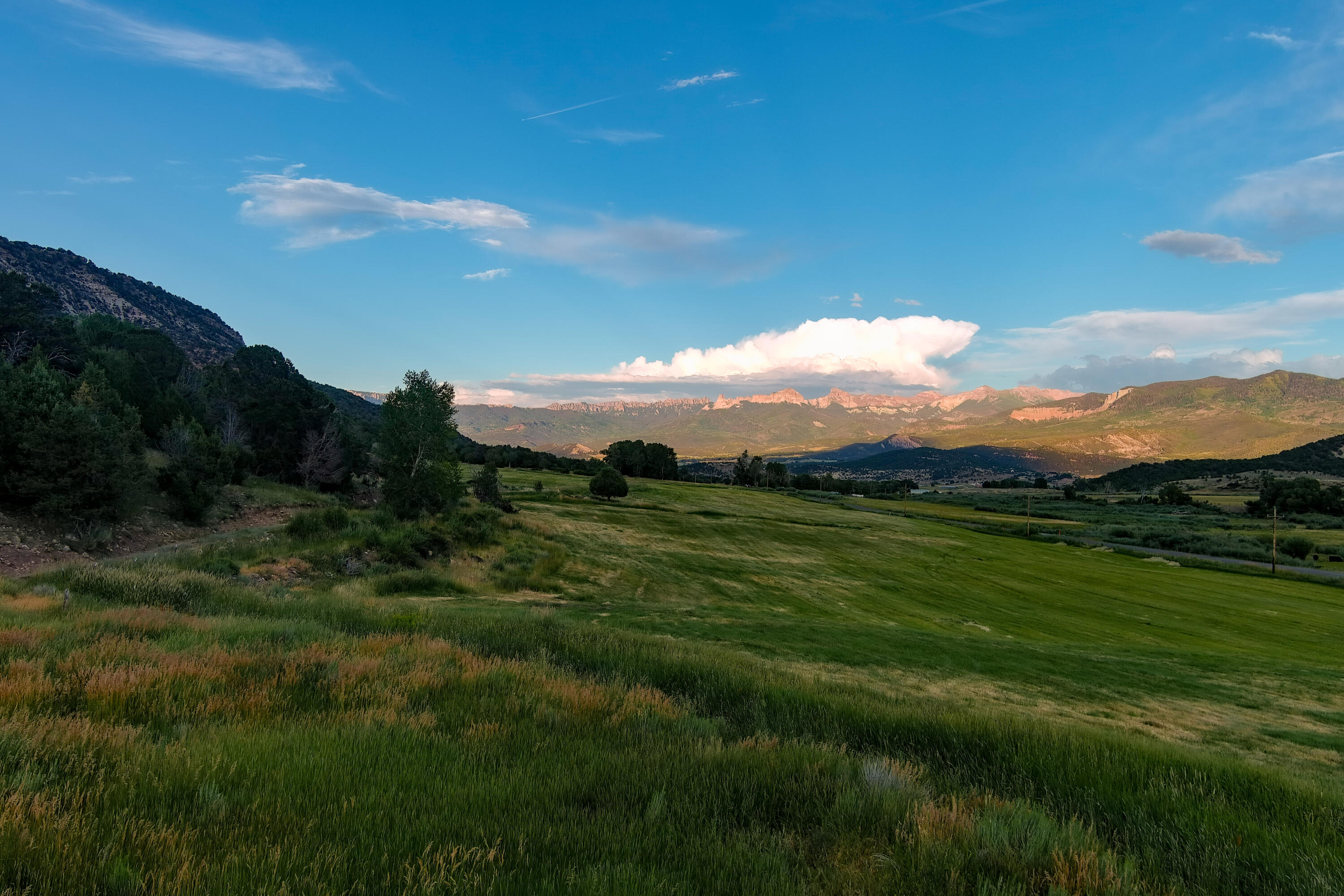 3073 County Road 24 Ridgway, CO 81432 - Photo 7 of 17 a view of a lush green outdoor space with a sink