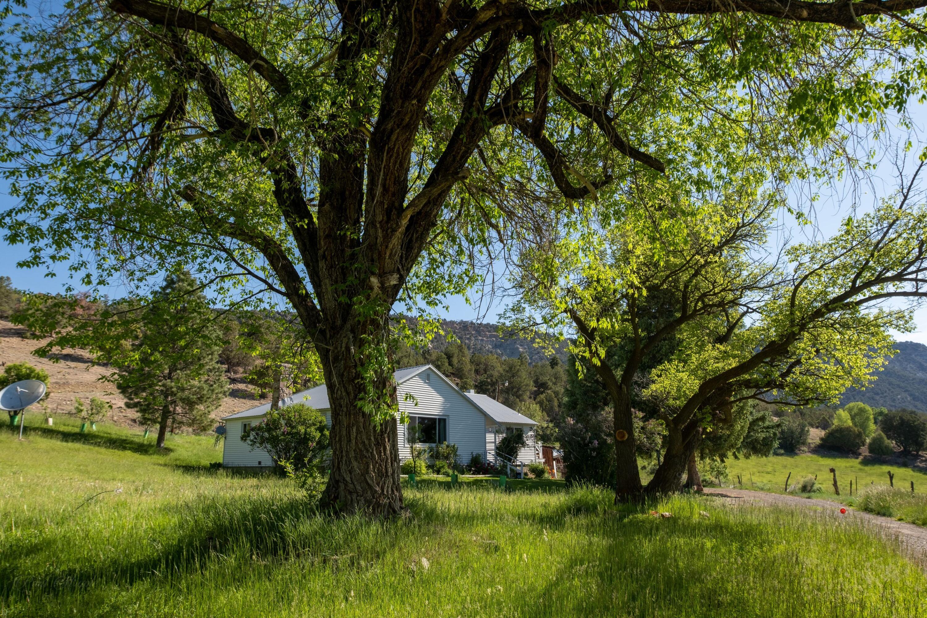 3073 County Road 24 Ridgway, CO 81432 - Photo 9 of 17 a view of house with yard