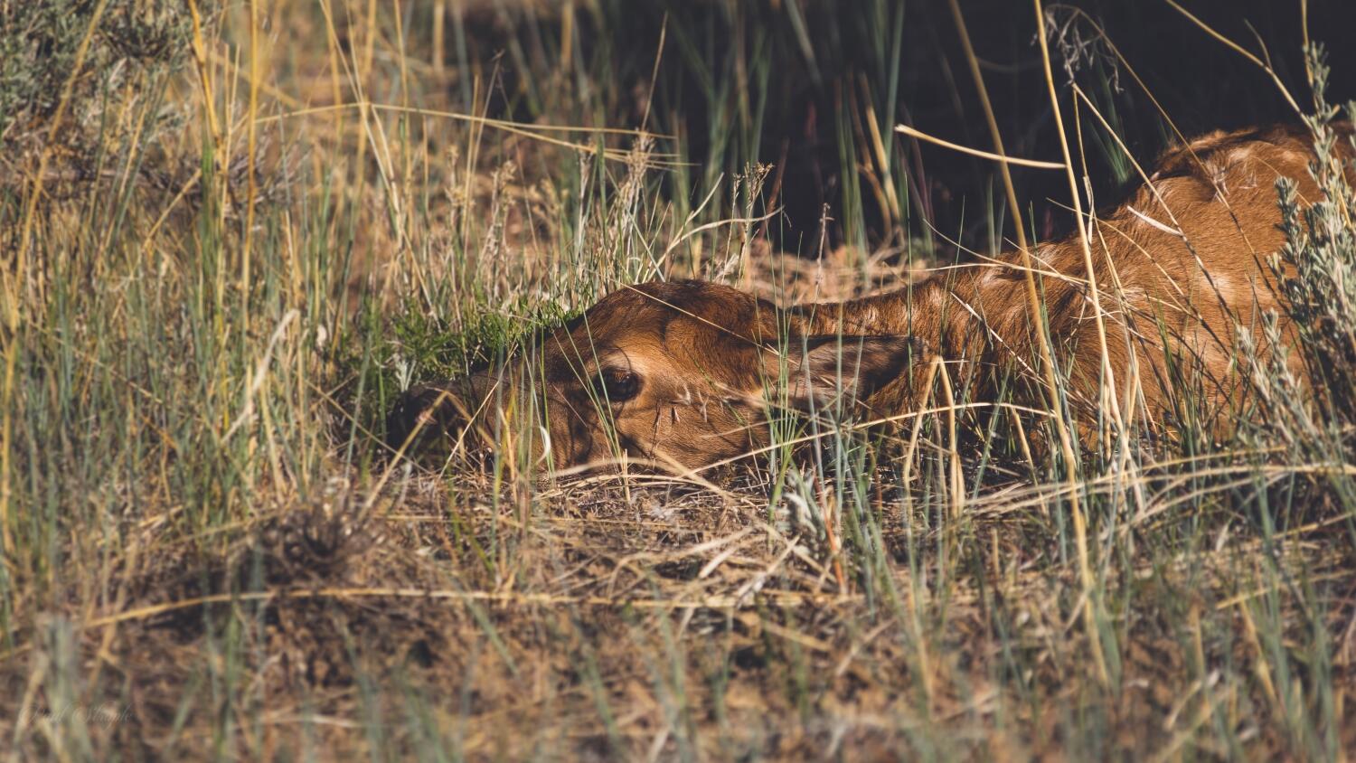 3073 County Road 24 Ridgway, CO 81432 - Photo 10 of 17 a close up of a door