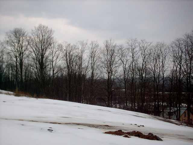 0 County Rt 22 Durham, NY 12422 - Photo 2 of 5 Photo 2