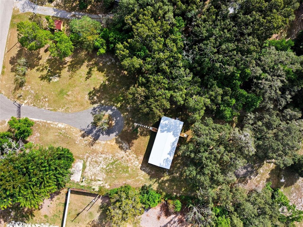 15616 Larry Road Spring Hill, FL 34610 - Photo 35 of 42