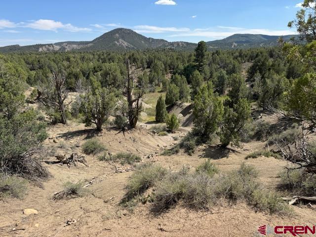 2519 Green Shadows Road Durango, CO 81303 - Photo 6 of 15 Gallery Image 6