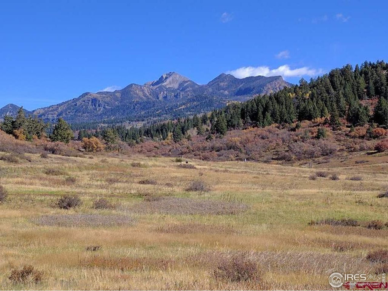 919 Roush Drive Pagosa Springs, CO 81147 - Photo 1 of 6 a view of a dry yard with mountains in the background