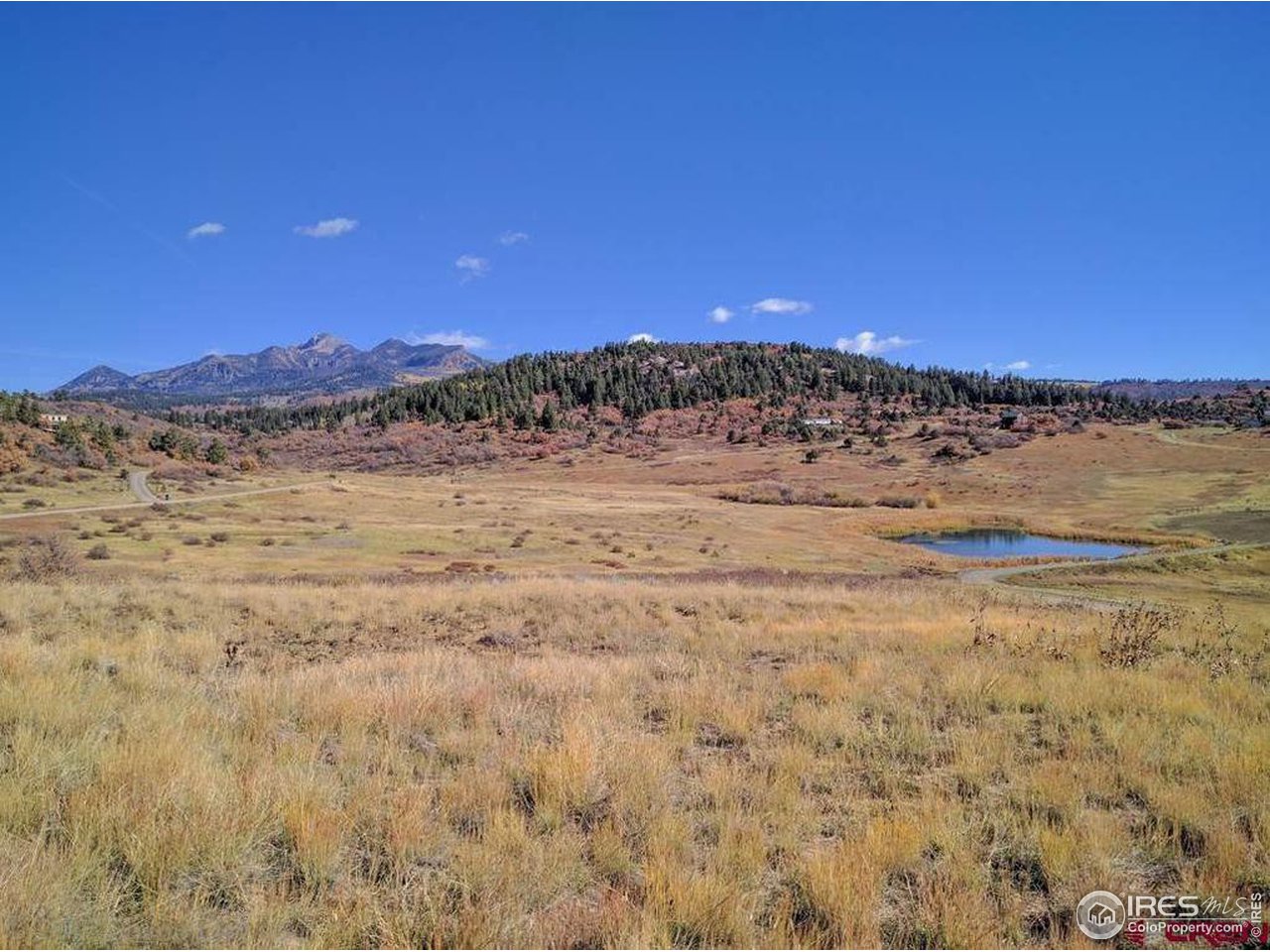919 Roush Drive Pagosa Springs, CO 81147 - Photo 4 of 6 a view of a beach with a mountain