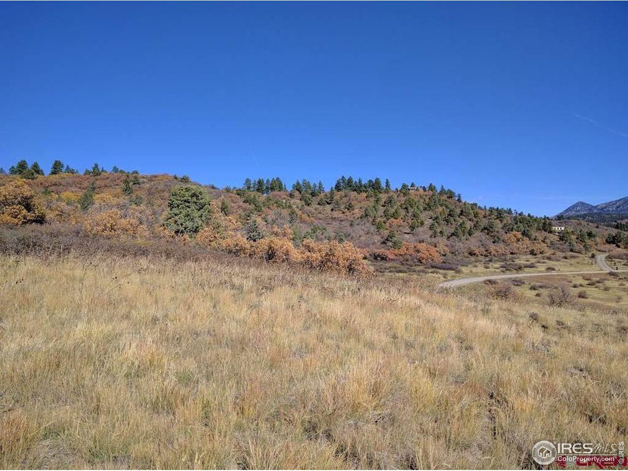 919 Roush Drive Pagosa Springs, CO 81147 - Photo 5 of 6 a view of a dry yard with mountains in the background
