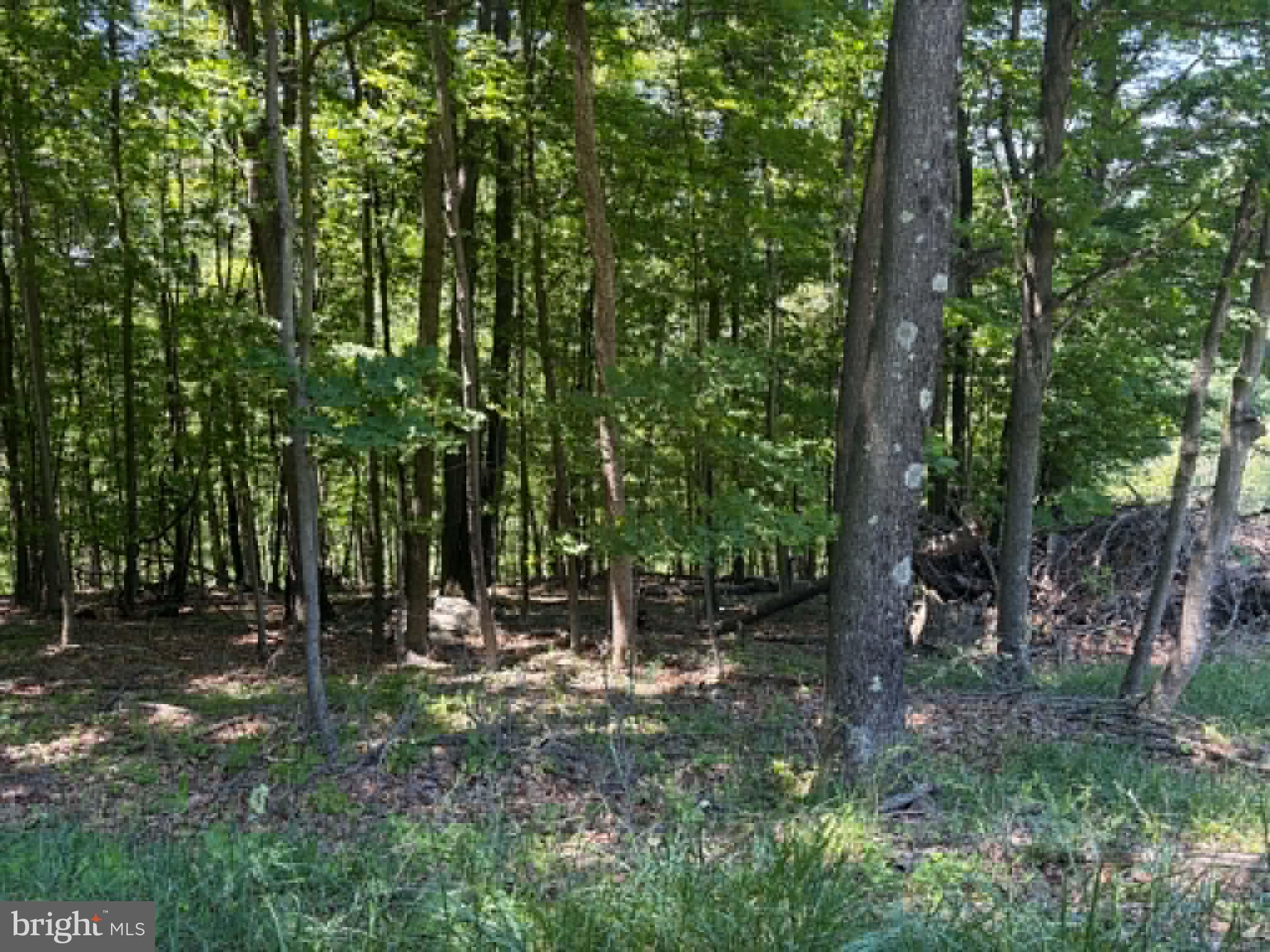 1515 Barnum Road Keyser, WV 26726 - Photo 39 of 64
