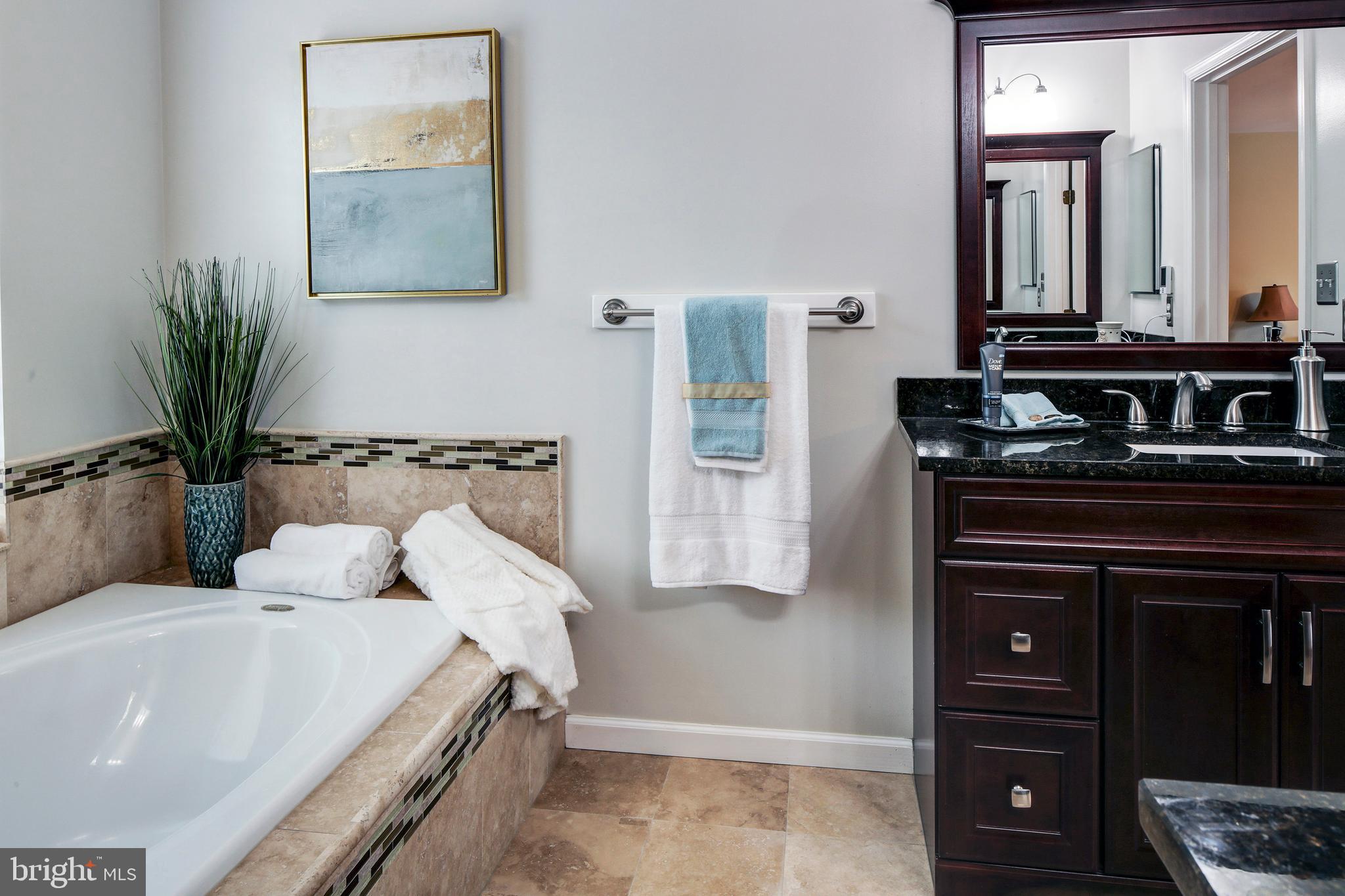7653 Bear Forest Road Hanover, MD 21076 - Photo 20 of 36 Master bath
