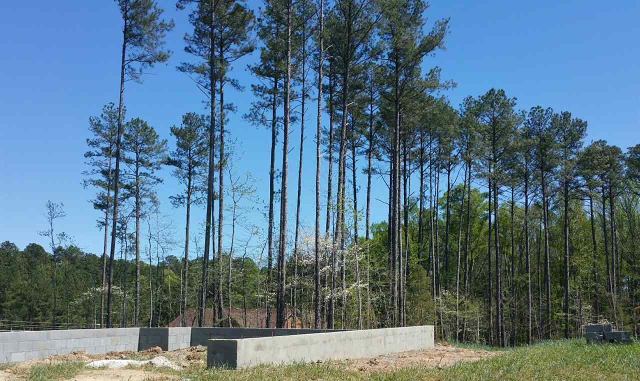 117 Mill Chapel Road Chapel Hill, NC 27517 - Photo 6 of 17 Foundation Begins