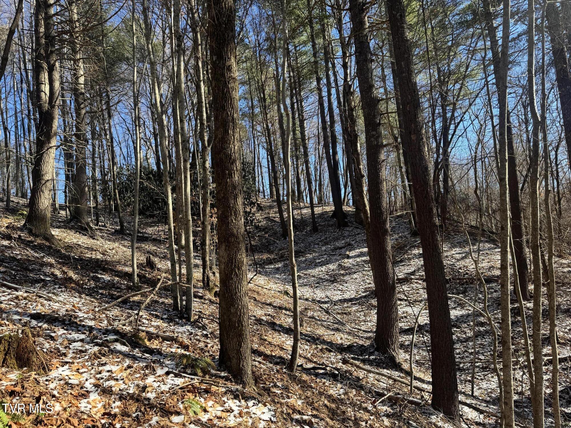 0 Clear Branch Road Erwin, TN 37650 - Photo 27 of 45 IMG_5057