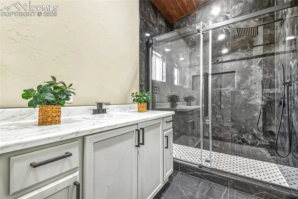 a bathroom with a sink and a shower