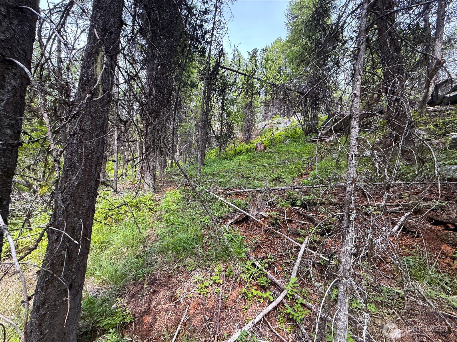 0 Mule Deer Road Republic, WA 99166 - Photo 8 of 9
