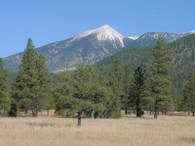 0 Lockett Ranches Flagstaff, AZ 86001 - Photo 1 of 3 Primary Photo