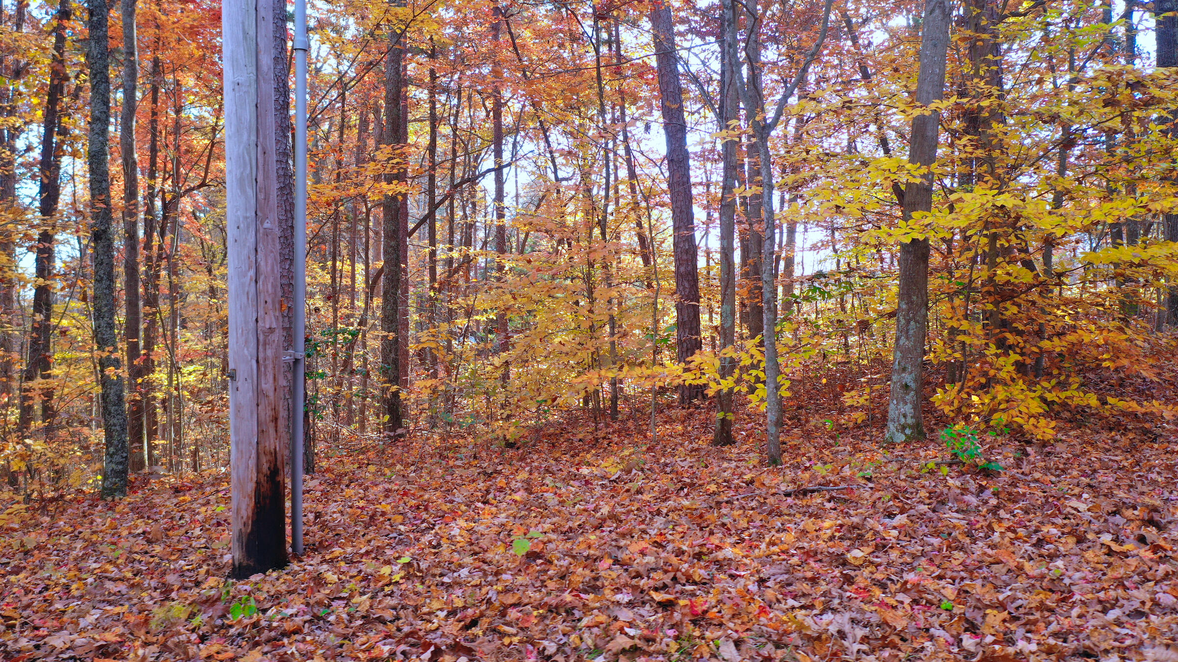 0 Cleft Rock Road Mount Vernon, KY 40456 - Photo 23 of 29 0 Cleft Rock Rd.DJI_0497