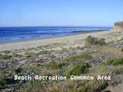 CommonAreaBeachGallery