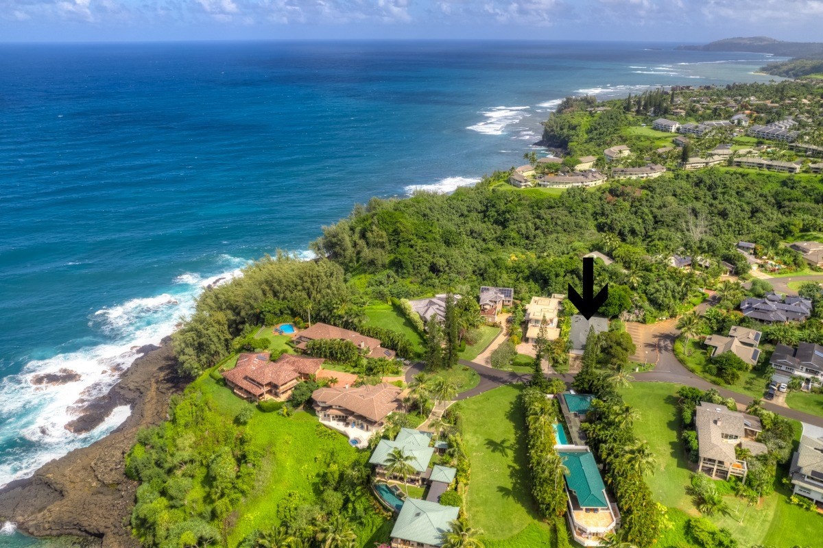3791 Punahele Road Princeville, HI 96722 - Photo 11 of 30 a view of a garden