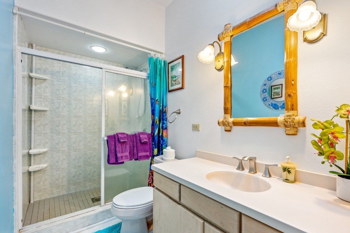 3791 Punahele Road Princeville, HI 96722 - Photo 17 of 30 a bathroom with a granite countertop sink toilet and shower