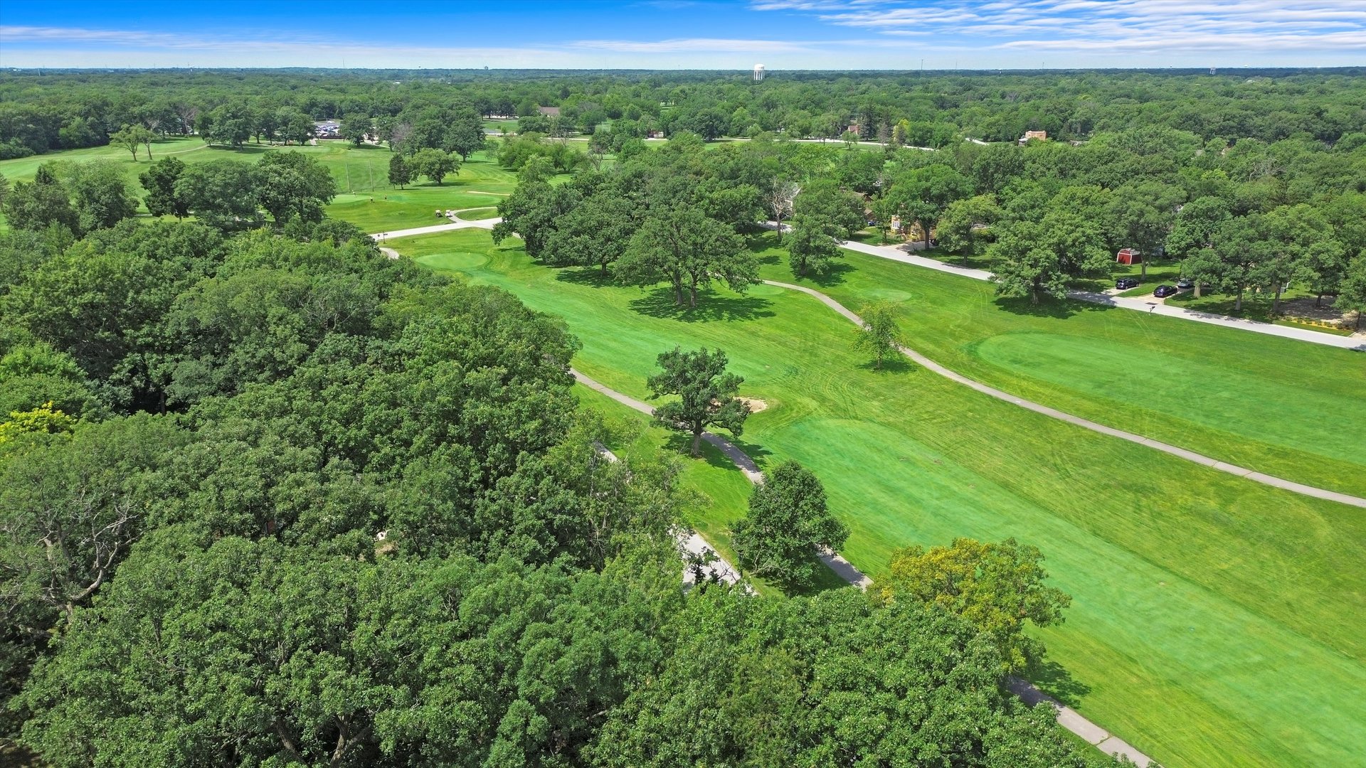 720 Rosedale Terrace Crete, IL 60417 - Photo 29 of 29 a view of a green field with lots of bushes