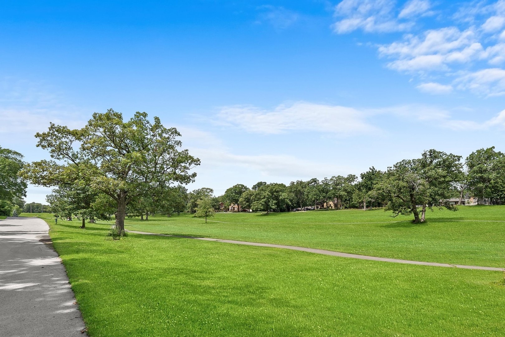 720 Rosedale Terrace Crete, IL 60417 - Photo 3 of 29 a view of a park with trees and a lake