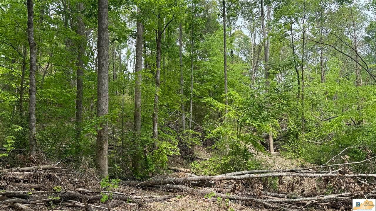 0 Black Beard Road Edmonton, KY 42129 - Photo 39 of 44 Gallery Image 39