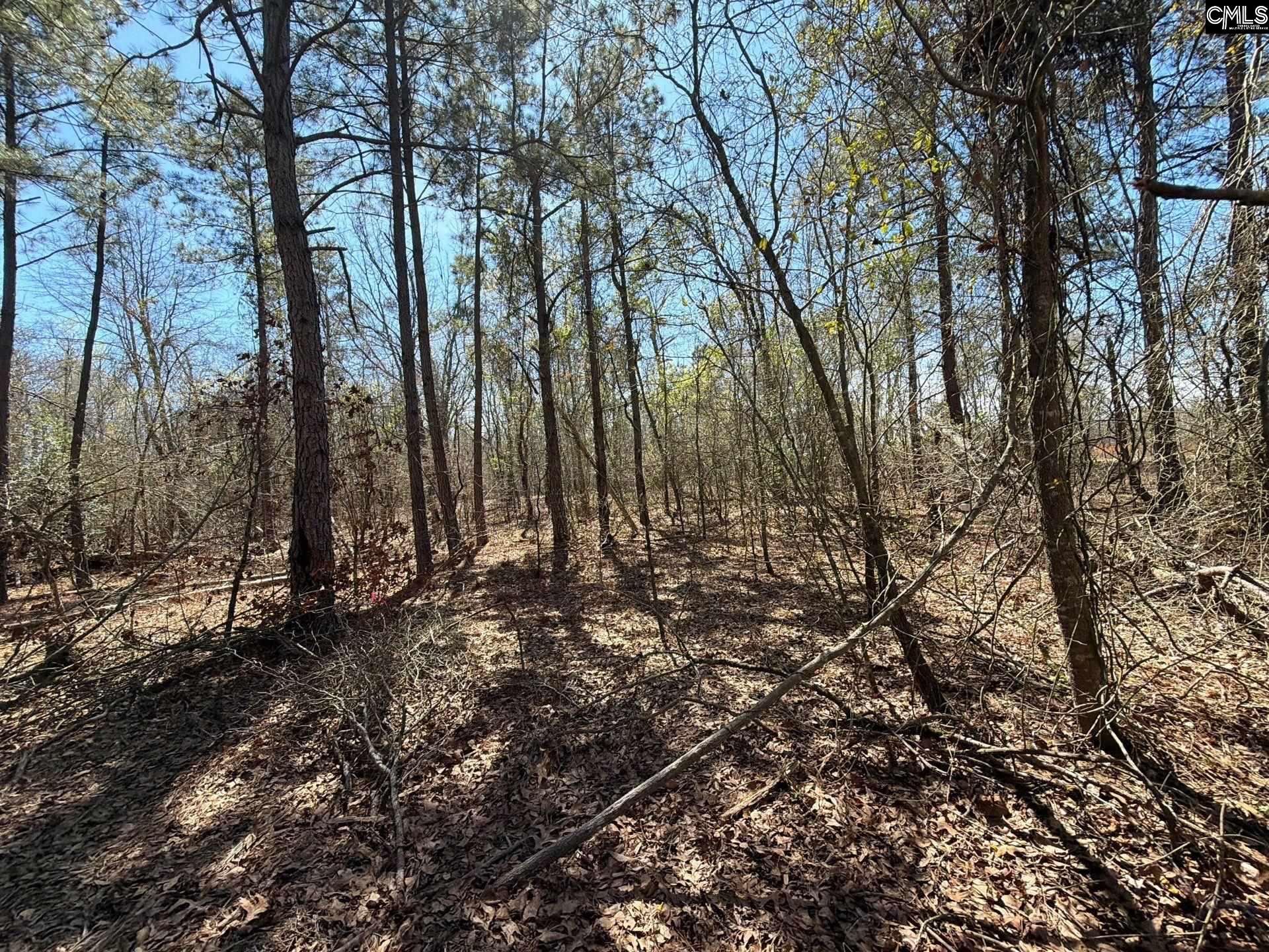 9 Boise Cascade Road, Unit BHL 9 Bethune, SC 29009 - Photo 40 of 44