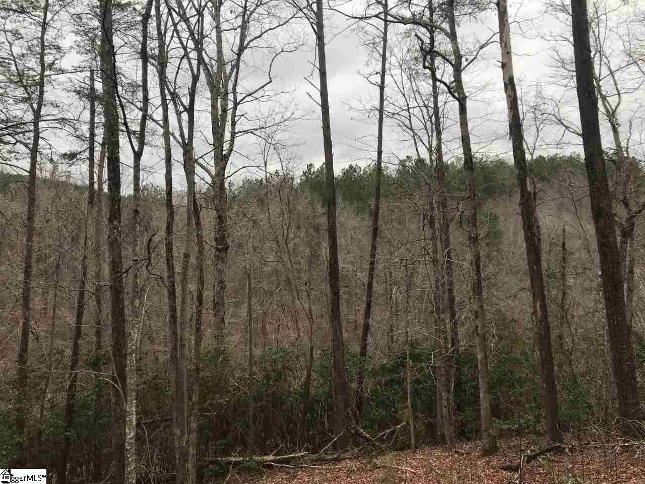524 Silver Shoals Road Marietta, SC 29661 - Photo 6 of 8 Big views throughout the property. Several level spots to build on. Duke Power, Greenville Water & new septic.