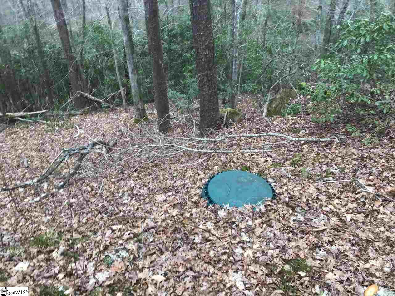 524 Silver Shoals Road Marietta, SC 29661 - Photo 8 of 8 New septic, hasn't been used.
