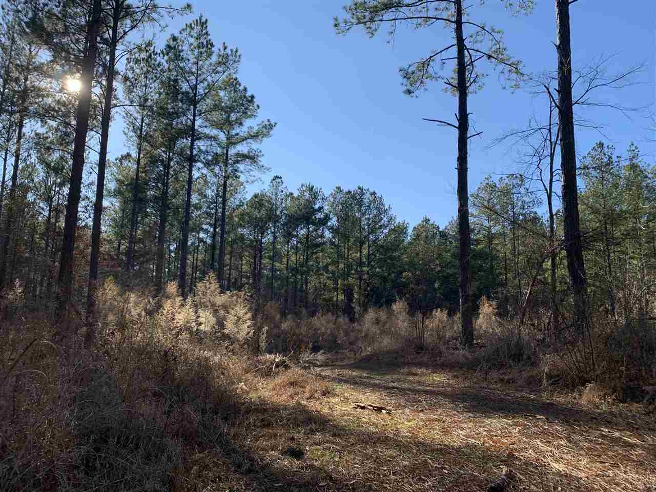 0 St John Road, Unit 2 Braxton, MS 39044 - Photo 11 of 11 Photo 11