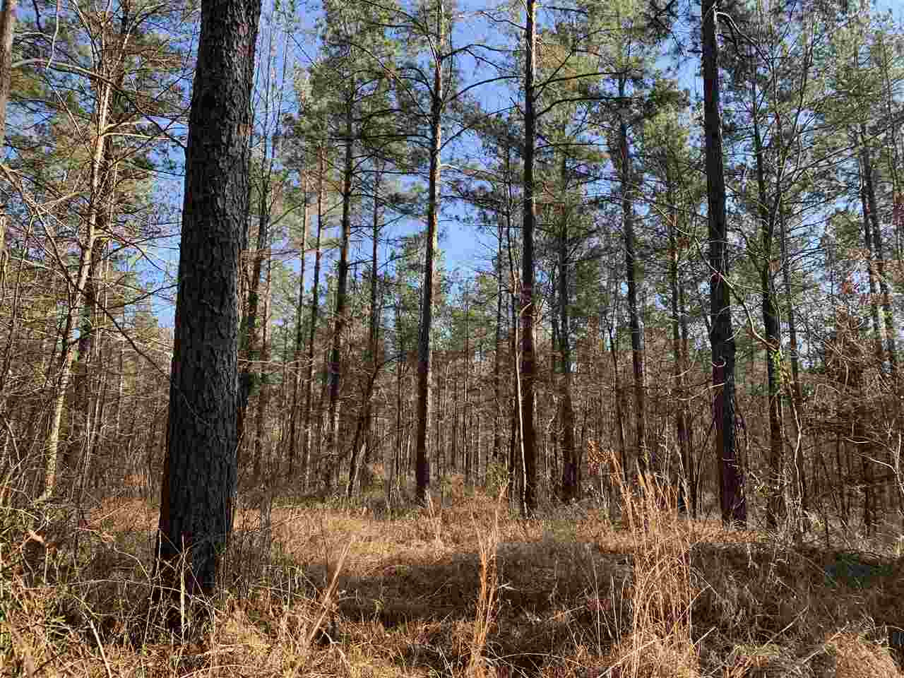 0 St John Road, Unit 2 Braxton, MS 39044 - Photo 2 of 11 Photo 2