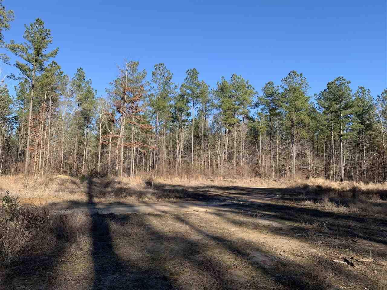 0 St John Road, Unit 2 Braxton, MS 39044 - Photo 3 of 11 Photo 3