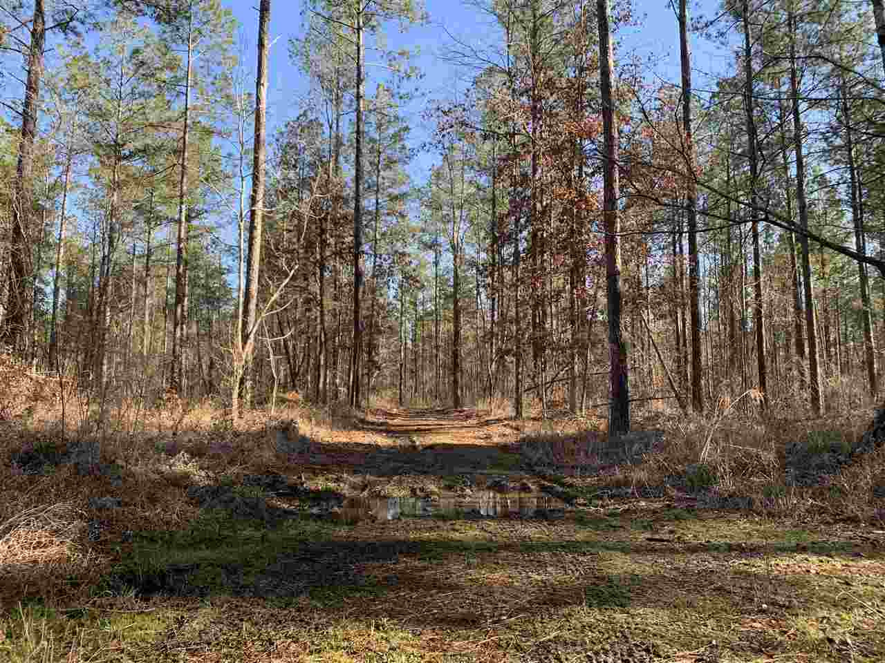 0 St John Road, Unit 2 Braxton, MS 39044 - Photo 4 of 11 Photo 4