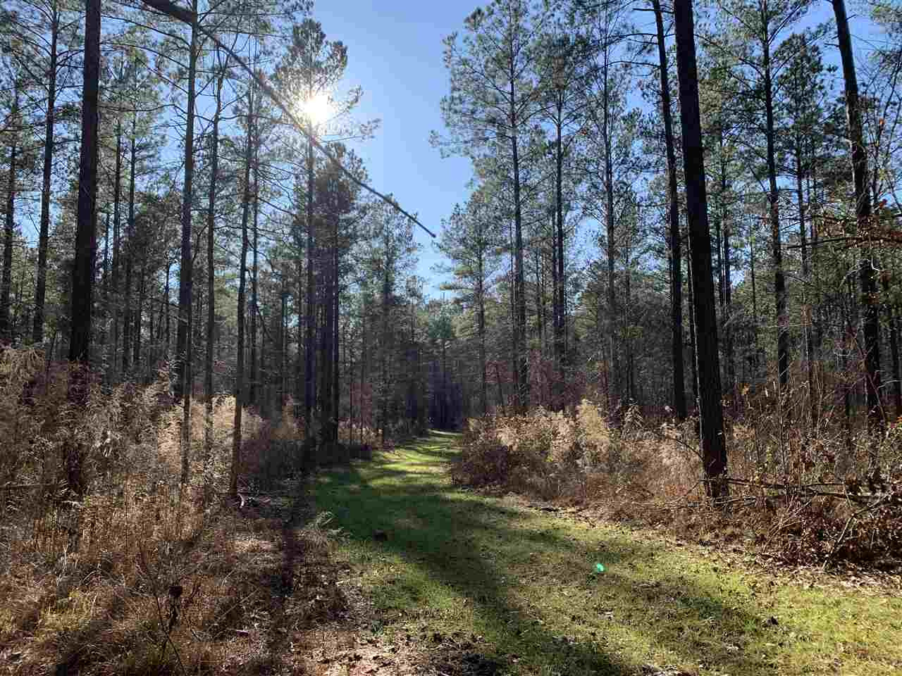 0 St John Road, Unit 2 Braxton, MS 39044 - Photo 5 of 11 Photo 5