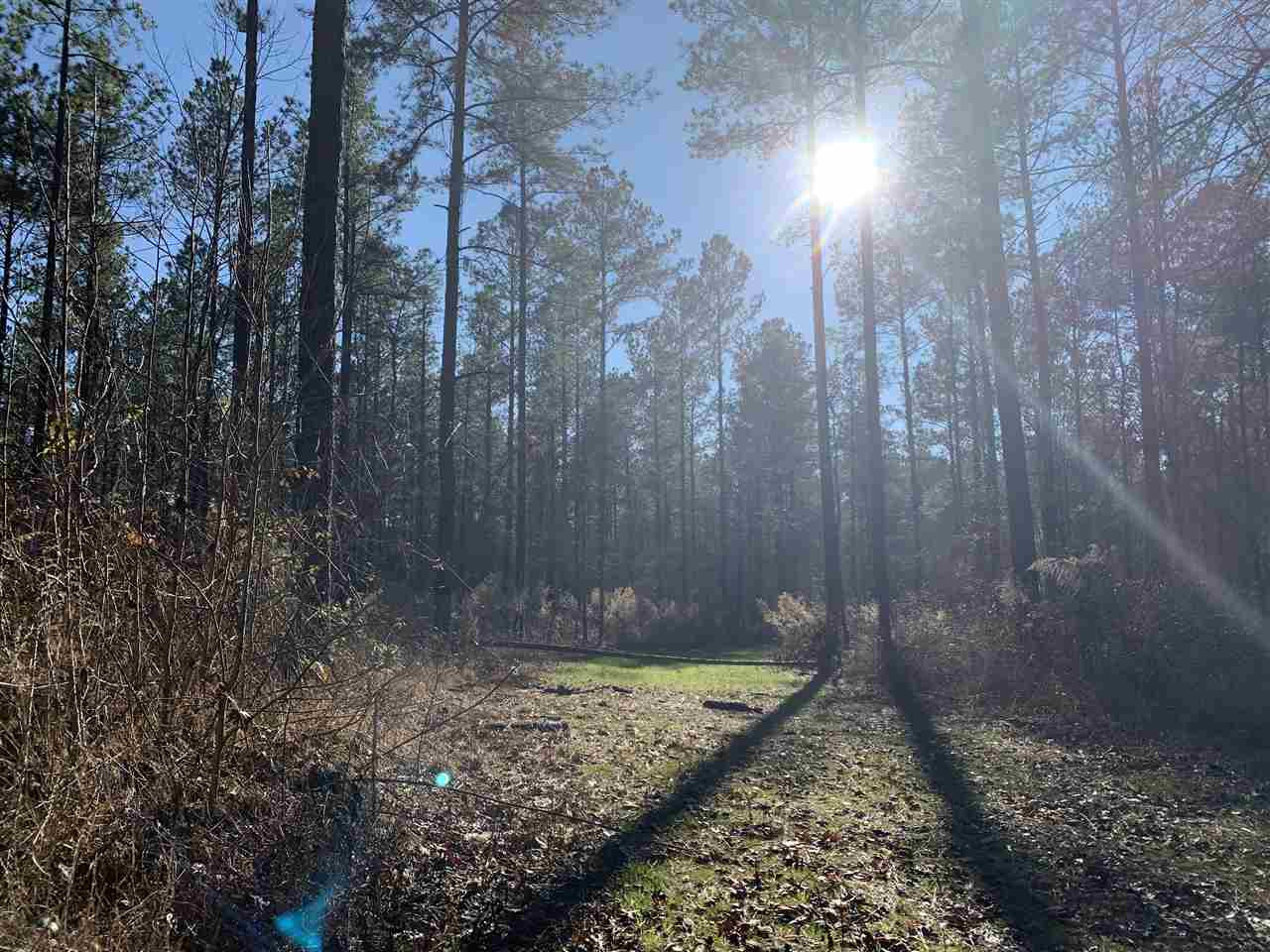 0 St John Road, Unit 2 Braxton, MS 39044 - Photo 6 of 11 Photo 6