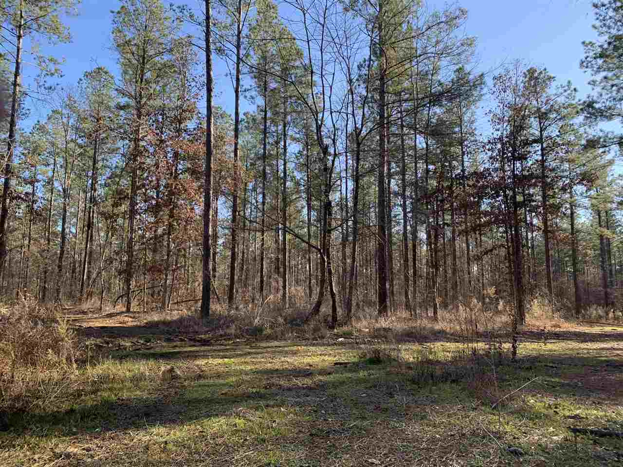 0 St John Road, Unit 2 Braxton, MS 39044 - Photo 7 of 11 Photo 7
