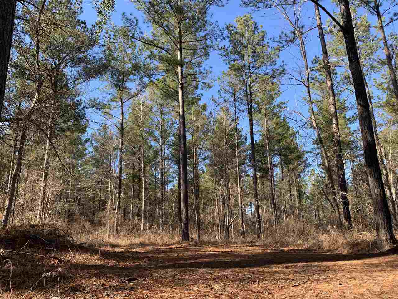 0 St John Road, Unit 2 Braxton, MS 39044 - Photo 8 of 11 Photo 8