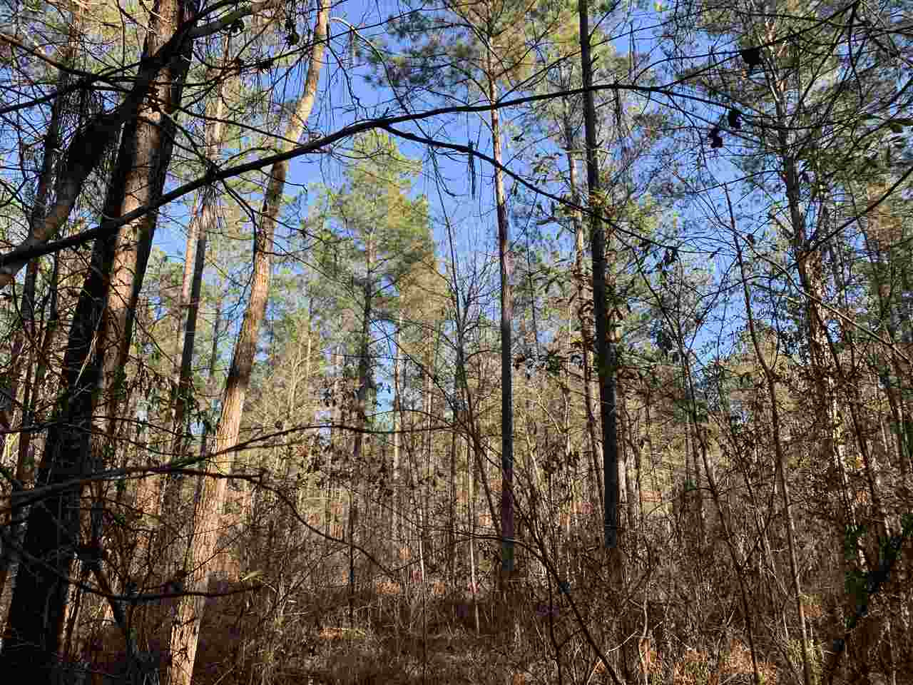 0 St John Road, Unit 2 Braxton, MS 39044 - Photo 9 of 11 Photo 9