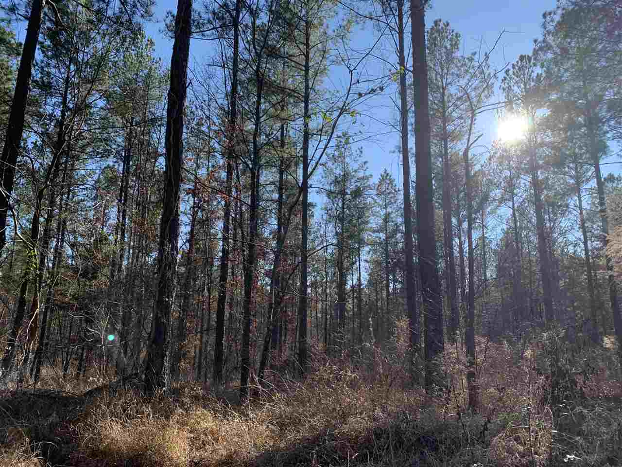 0 St John Road, Unit 2 Braxton, MS 39044 - Photo 10 of 11 Photo 10