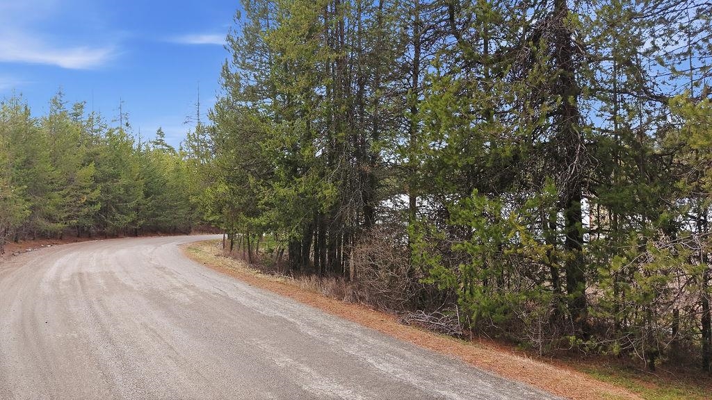 4-xx Jermain Road Newport, WA 99156 - Photo 17 of 19