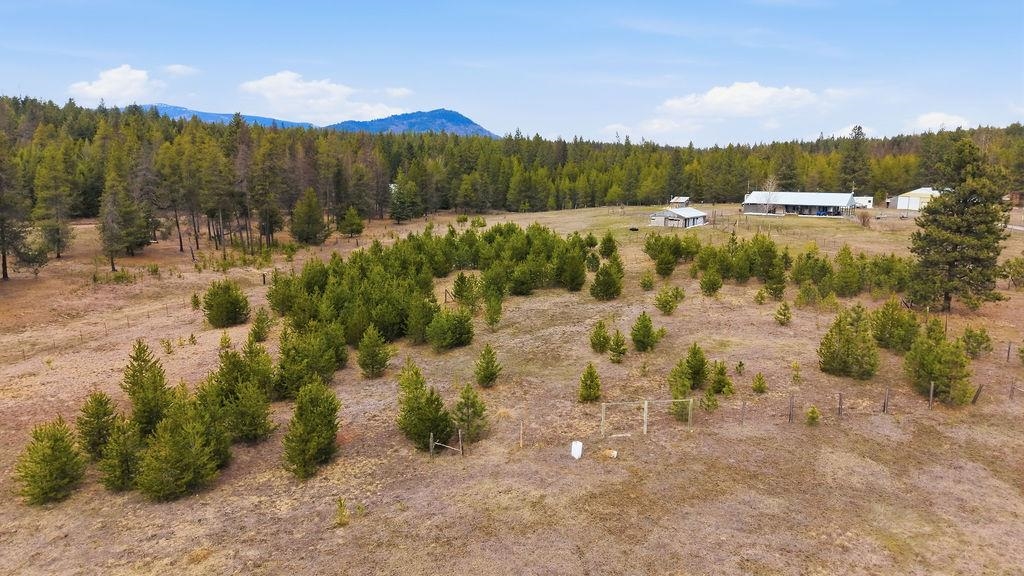 4-xx Jermain Road Newport, WA 99156 - Photo 10 of 19