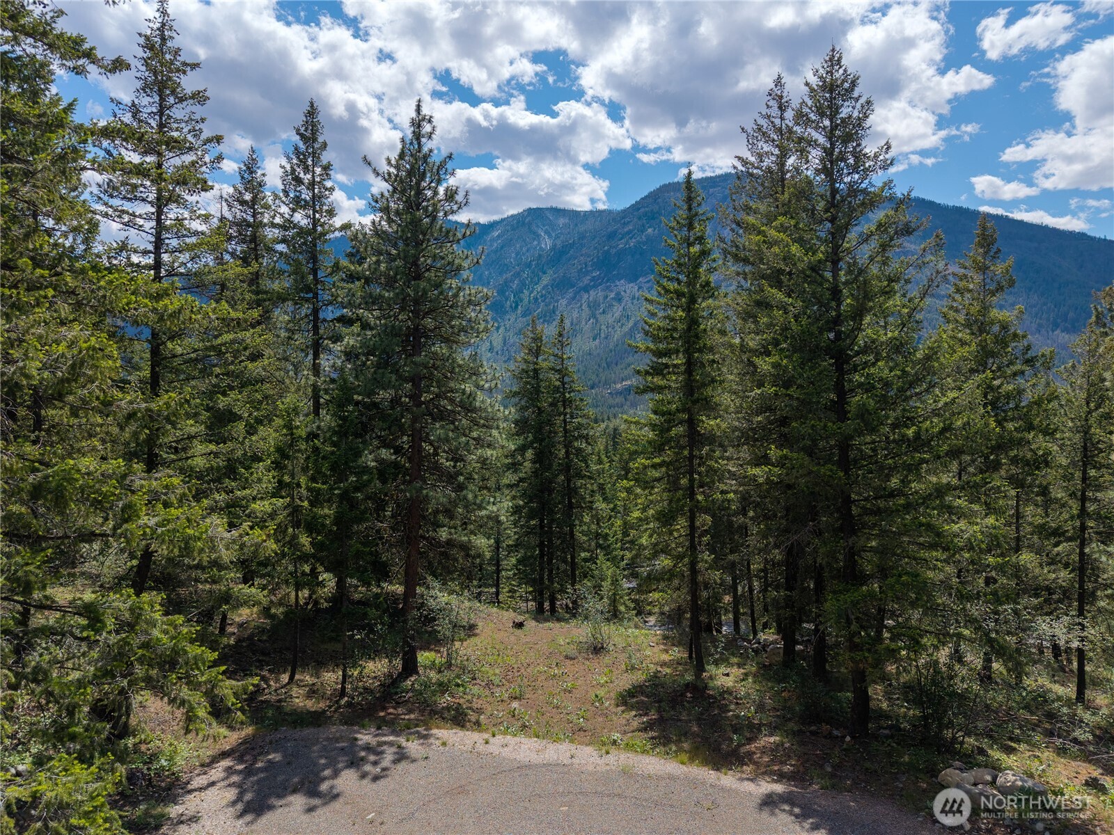 6 Homestead Road Winthrop, WA 98862 - Photo 2 of 40 a view of a forest with a tree