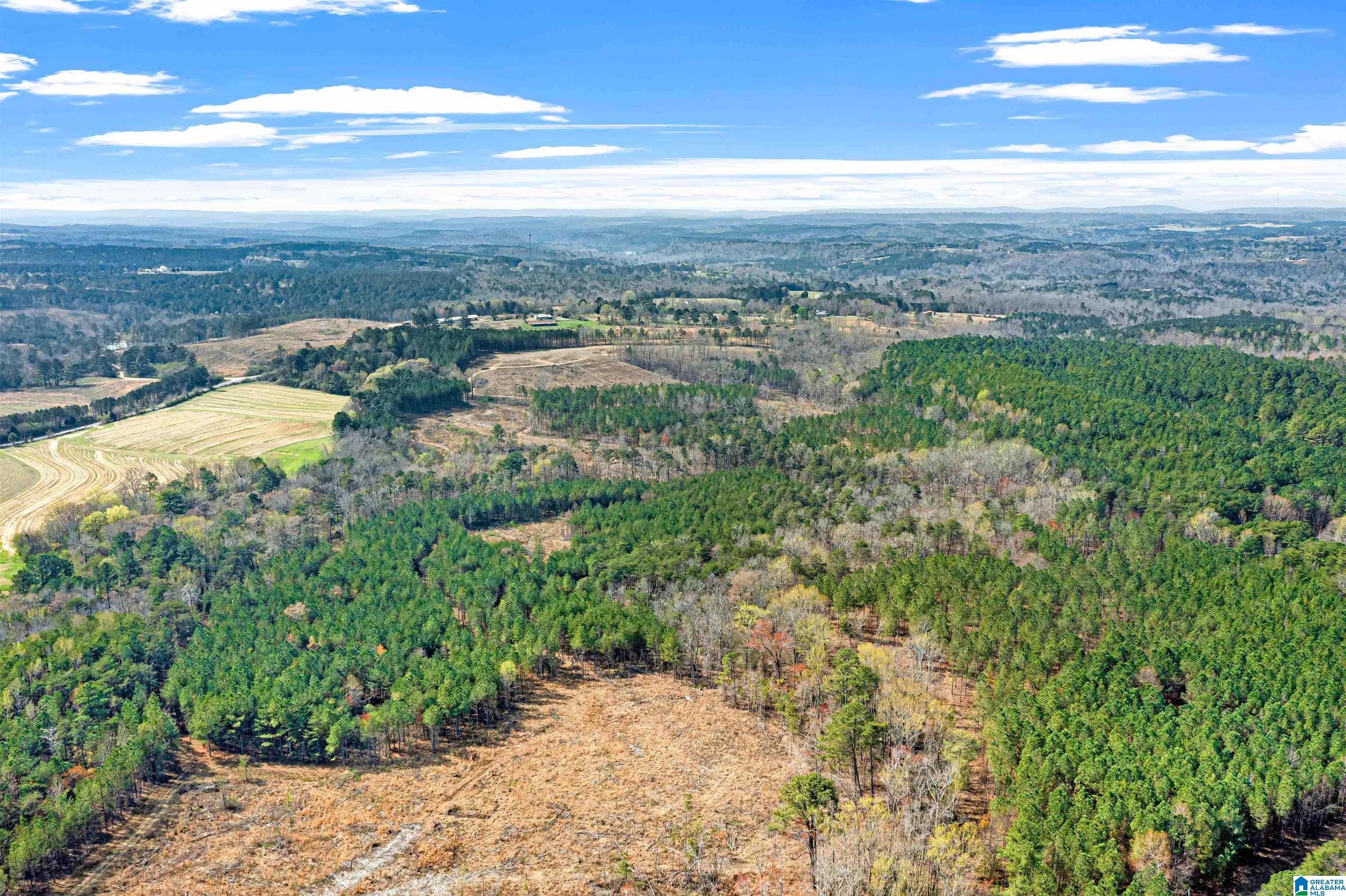 0 Frost Road, Unit 100 / ACRES Springville, AL 35146 - Photo 41 of 60