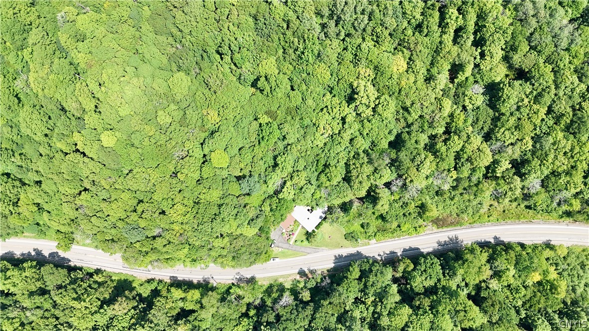 407 State Route Cortland, NY 13045 - Photo 33 of 35