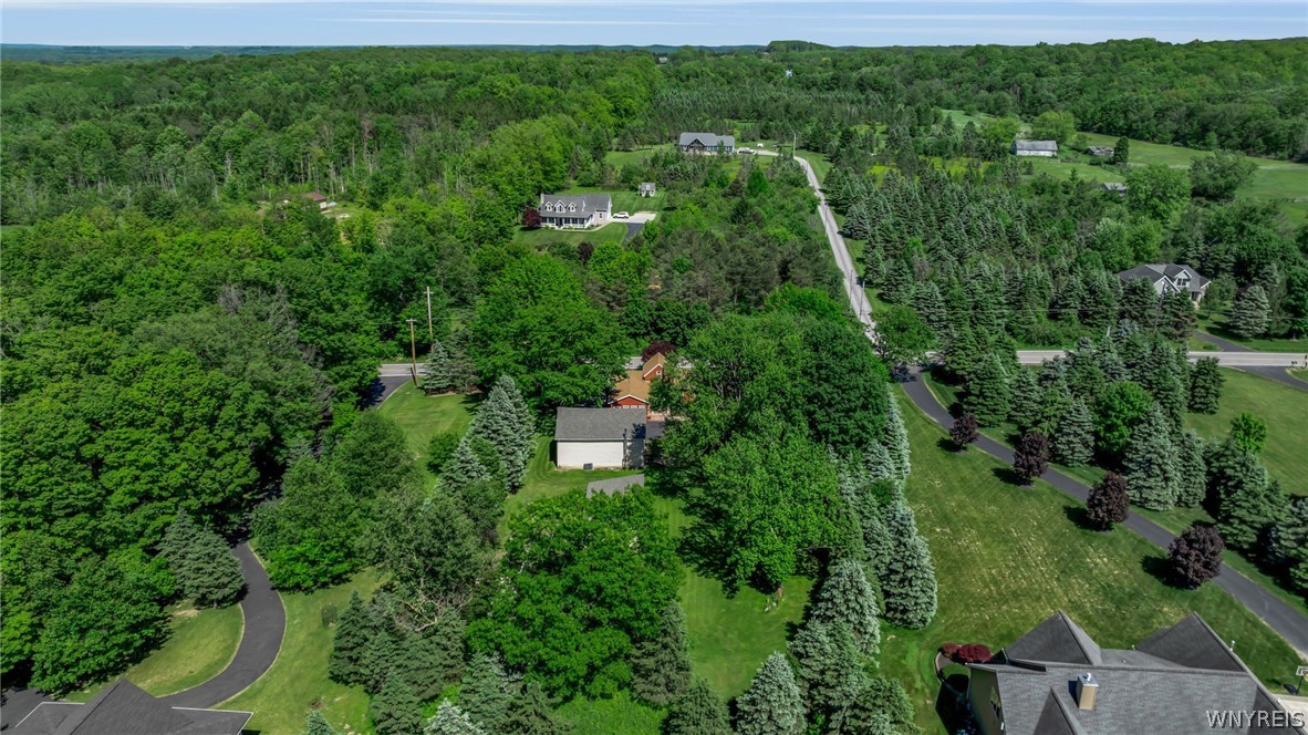 1713 Grover Road East Aurora, NY 14052 - Photo 8 of 50