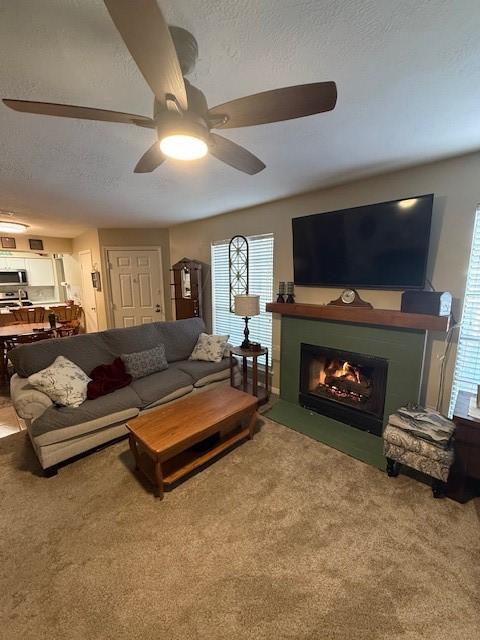 2402 Sycamore Avenue, Unit E3 Huntsville, TX 77340 - Photo 22 of 38 a living room with furniture a flat screen tv and a fireplace